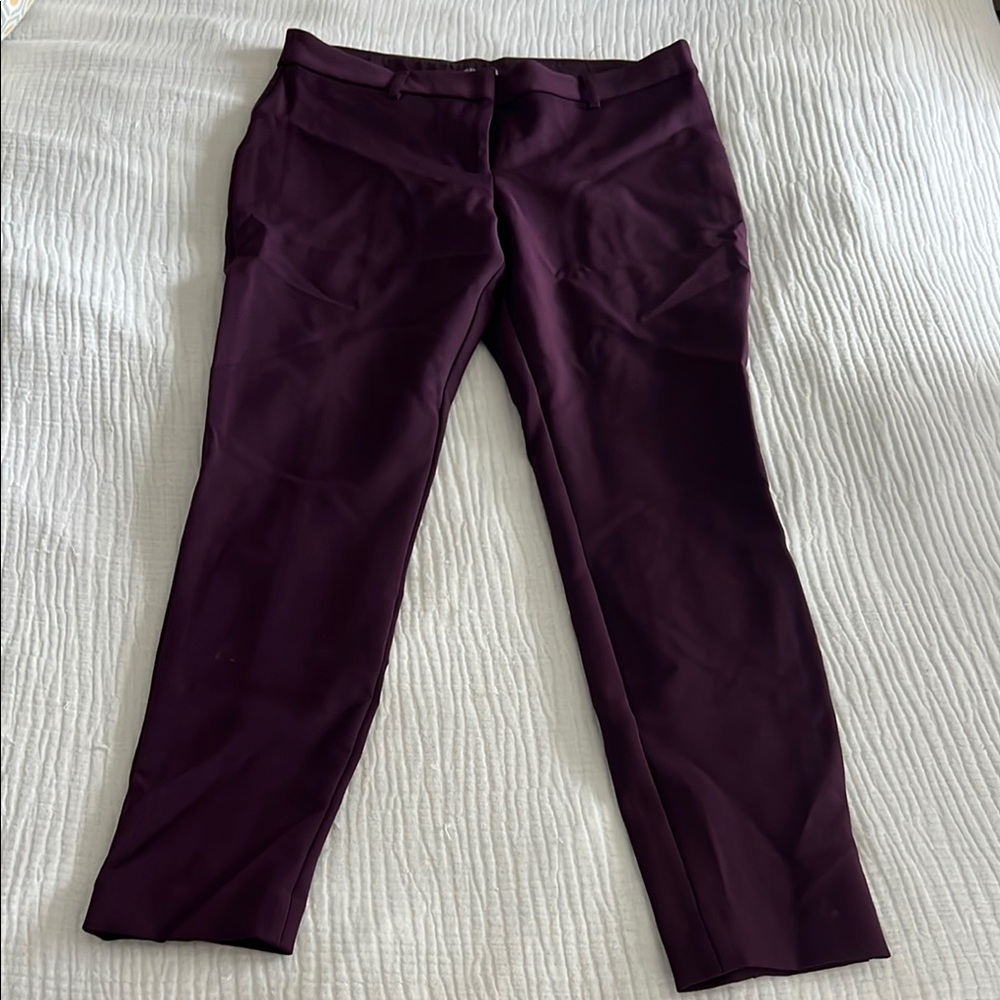 Express Deep Purple Pants